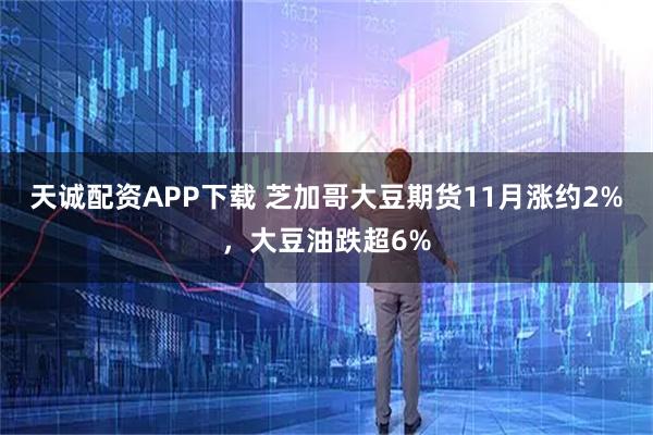 天诚配资APP下载 芝加哥大豆期货11月涨约2%,大豆油跌超6%