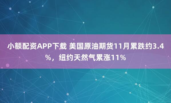 小额配资APP下载 美国原油期货11月累跌约3.4%，纽约天然气累涨11%