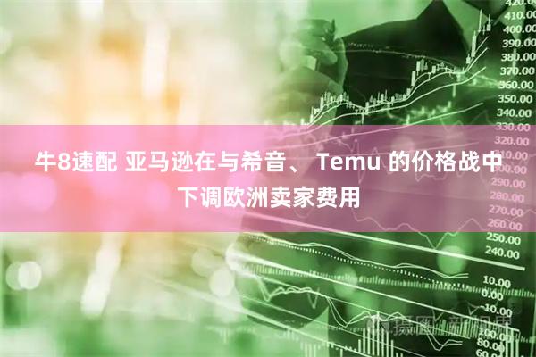 牛8速配 亚马逊在与希音、 Temu 的价格战中下调欧洲卖家费用